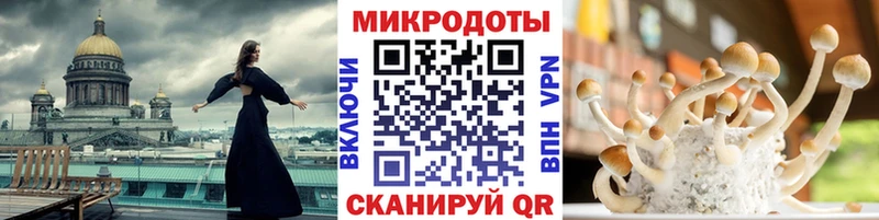 KRAKEN вход  Артёмовск  Галлюциногенные грибы Magic Shrooms  купить  